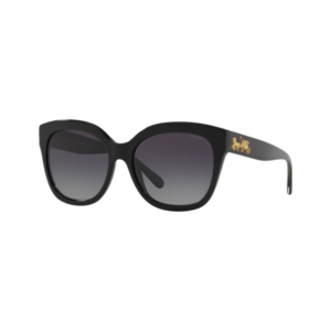 Coach Women's Polarized HC8264 Sunglasses Product Image