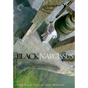 Black Narcissus Product Image